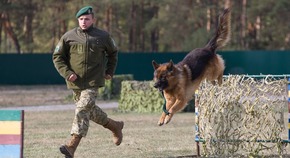 Фотогалерея. ИА Аналитическая служба новостей