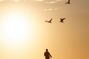 Самый точный лунный календарь на 19 июня 2018 года