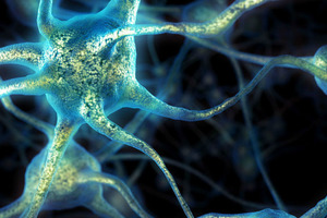 Доказано, что инфекции сводят пожилых людей с ума