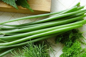 Как долго хранить зеленый лук