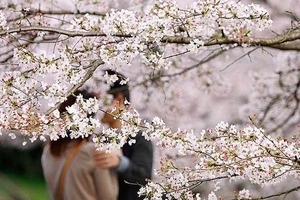 Что принесет эта весна каждому знаку Зодиака