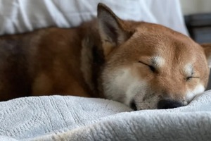 Сон в ночь с 23 на 24 октября 2022 года: толкование по лунному календарю