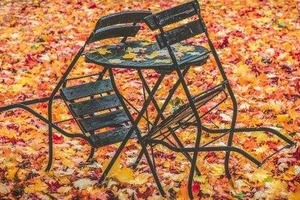 Вихідні і державні свята в листопаді 2021. Скільки відпочиватимуть в Україні