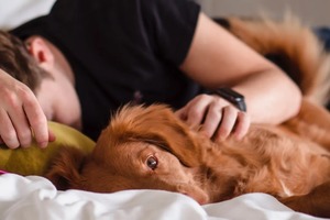 Сон в ночь с 14 на 15 марта 2023 года: толкование по лунному календарю