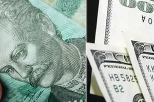 Стоит ли украинцам сейчас покупать доллары: ответ экспертов