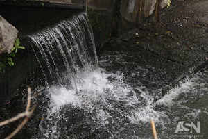 Прохладный июнь и дождливый август: эксперт сделала долгосрочный прогноз для Киева 