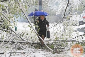 В Україну йде справжня зима, чекати недовго. Синоптики попереджають владу столиці