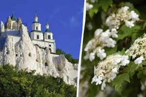 Народні прикмети на 16 травня 2024 року. Яке церковне свято святкують в Україні