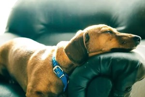 Сон в ночь с 27 на 28 октября 2022 года: толкование по лунному календарю