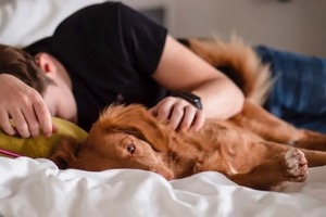 Сон в ночь с 16 на 17 декабря 2022 года: толкование по лунному календарю