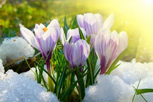 Синоптик обрадовала весенним прогнозом