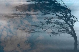 На сьогодні у Києві оголошено штормове попередження