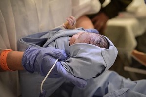 В ООН предсказали скорое вымирание России‍