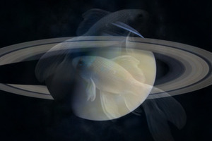 Сатурн в Знаке Рыб с марта 2023 года: прогноз на ближайшие несколько лет для Знаков Зодиака
