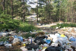 За сміття повз урни - 5 тис. грн. В Україні можуть в рази збільшити штрафи за сміття