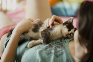 Кошка ложится к вам на одно и то же место. Что это значит?