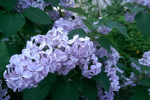 Погода на выходные от Наталки Диденко