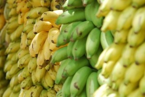 Какие бананы самые полезные: определяем по цвету