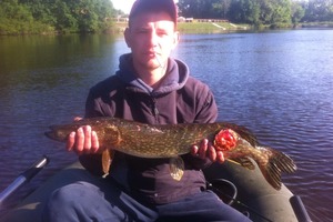 Щуки в украинских водоемах болеют 