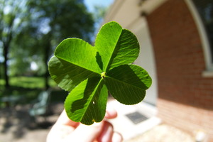 Як притягнути до себе удачу і гроші. Найдієвіші ритуали і талісмани