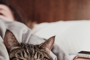 Сон в ночь с 30 на 31 декабря 2022 года: толкование по лунному календарю