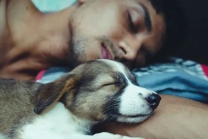 Сон в ночь с 29 на 30 ноября 2022 года: толкование по лунному календарю