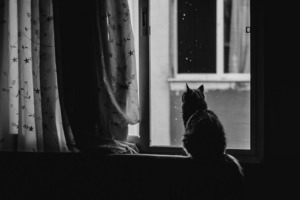 Погода на 10 февраля 2022 года: народные приметы и прогноз синоптиков