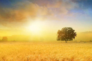 Жара возвращается, но не надолго