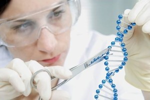 Вчені знайшли спосіб продовження життя