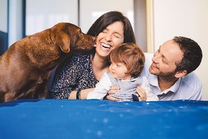 Как знаки зодиака ведут себя в семейной жизни