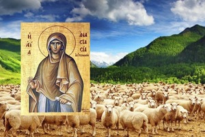 11 ноября: День Анастасии-Овчарницы. Остерегайтесь незнакомцев, не оставляйте детей одних и другие запреты на день