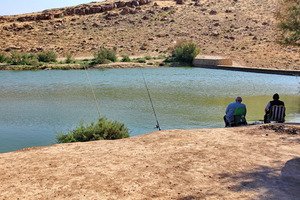 Внезапно: в пустыне на Херсонщине появилась рыба 