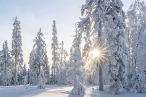 Народные приметы на 17 февраля 2023 года: что нельзя делать в этот день