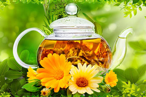 Монастырский сбор: 16 трав от ста недугов