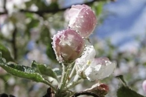 Жара спадет. Синоптики прогнозируют похолодание