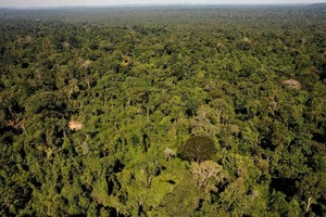 Бразильцы в ярости: президент отдал заповедник Амазонки на растерзание горнодобывающим компаниям