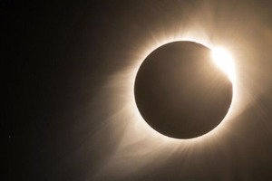 Солнечное затмение: странное поведение животных, погоня за тенью и взгляд на корону — за чем будут следить ученые