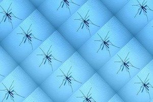 Народные приметы на 10 февраля 2022 года: что нельзя делать в День домового