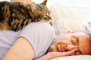 Сон в ночь с 19 на 20 марта 2023 года: толкование по лунному календарю