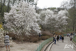 Народні прикмети на 23 квітня - Терентій Маревни і Сонцезахід