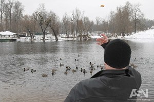 Не дотянут до весны. Горожан призвали подкармливать птиц на водоемах и в скверах