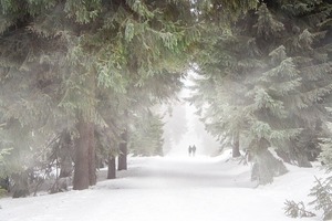 Погода на 4 февраля 2022 года: народные приметы и прогноз синоптиков