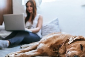 Сон в ночь с 25 на 26 декабря 2022 года: толкование по лунному календарю