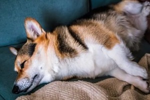 Сон в ночь с 27 на 28 февраля 2023 года: толкование по лунному календарю