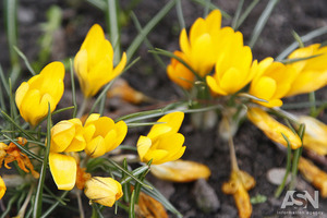 Народні прикмети на 24 квітня - День Антипа повені