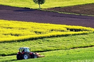 У Мінагропроді розповіли, хто в Україні зможе скуповувати землю по 1000 га