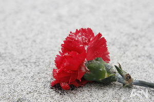 В Украину идут 10-градусные морозы: где зима начнется осенью