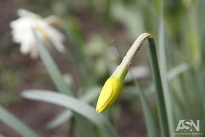 Синоптик розповів, коли в Україну прийде справжня весна