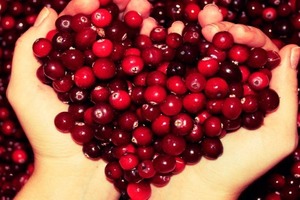 Названа ягода, которая способна заменить вредные антибиотики