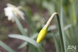 День лечебных костров: Народные приметы и обычаи на 13 апреля 2018 года